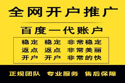 百度联盟推广网络覆盖的案例研究